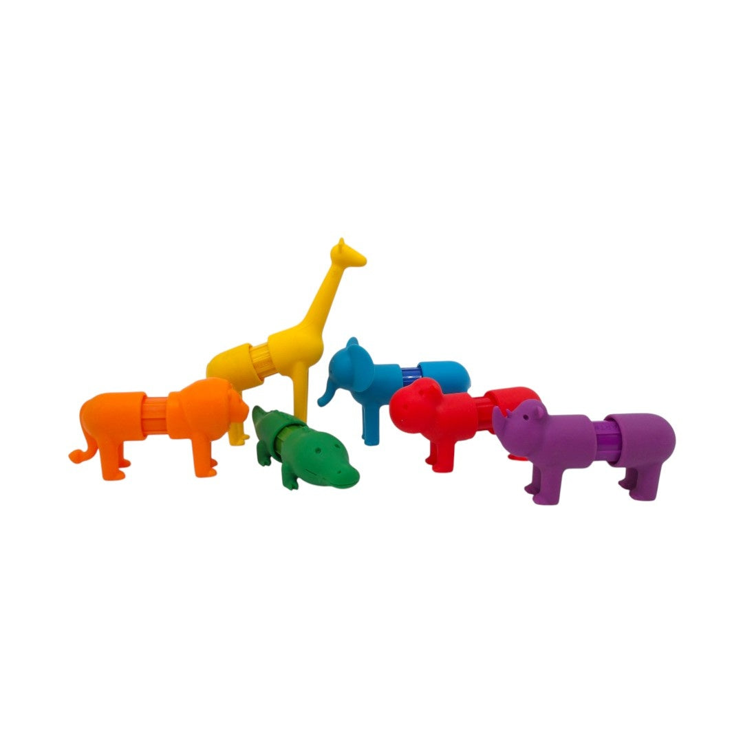 Animaux du safari magnétiques - x6