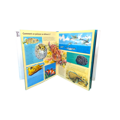 Mes questions aux animaux de la mer