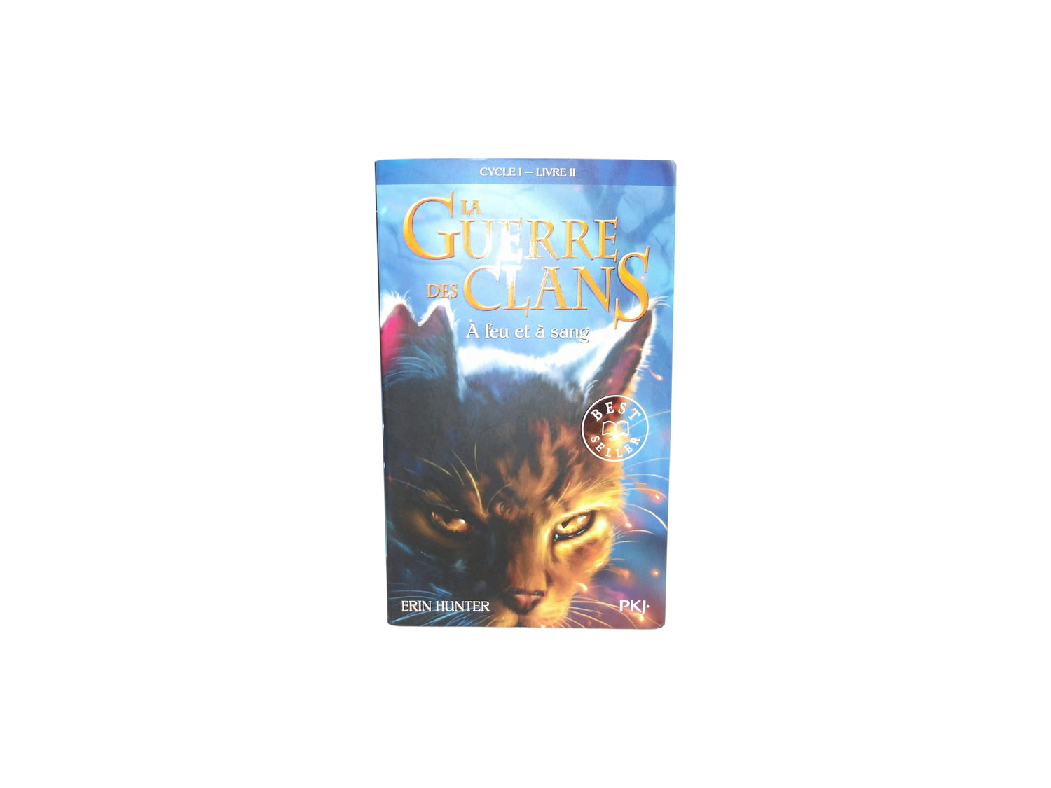 La Guerre des Clans - A feu et à sang - Tome 2