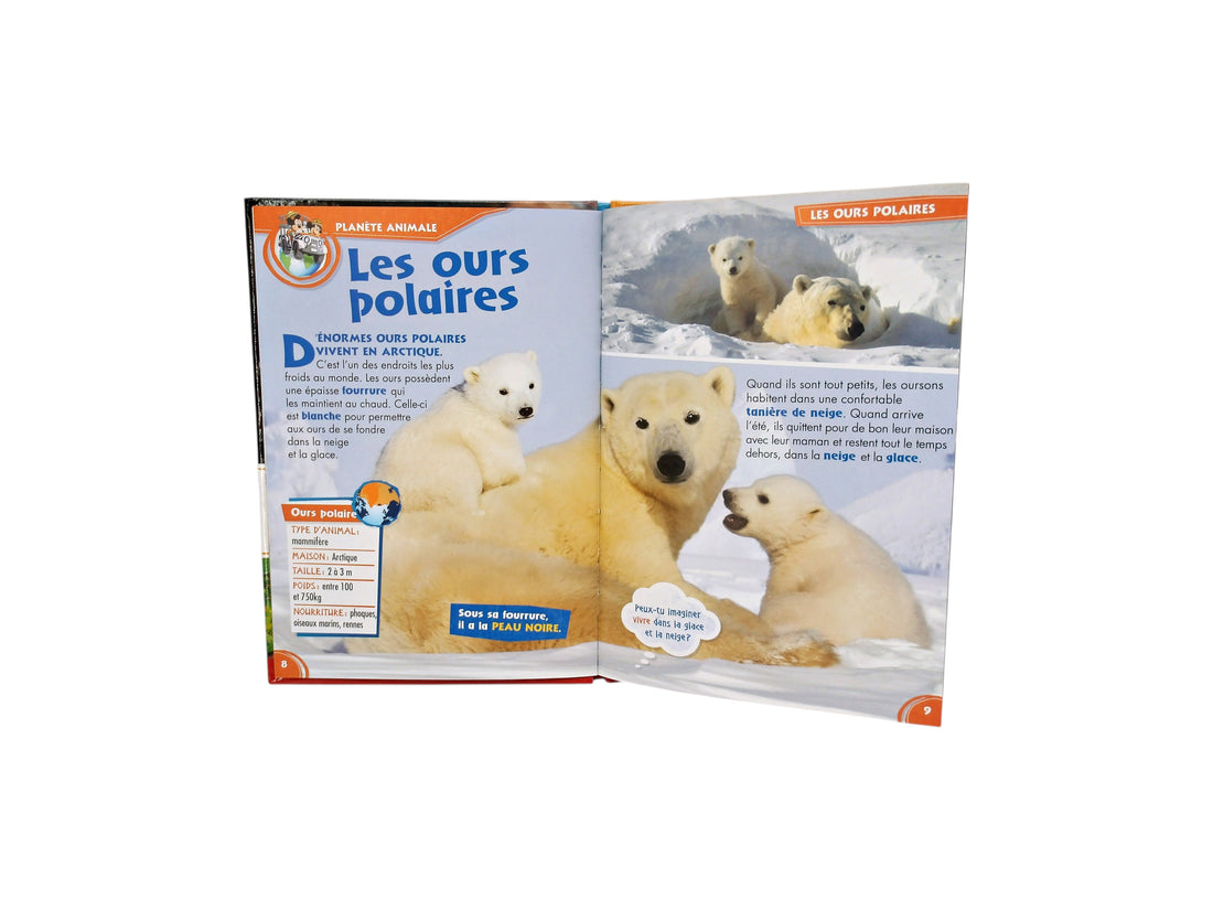 Mes amis les animaux