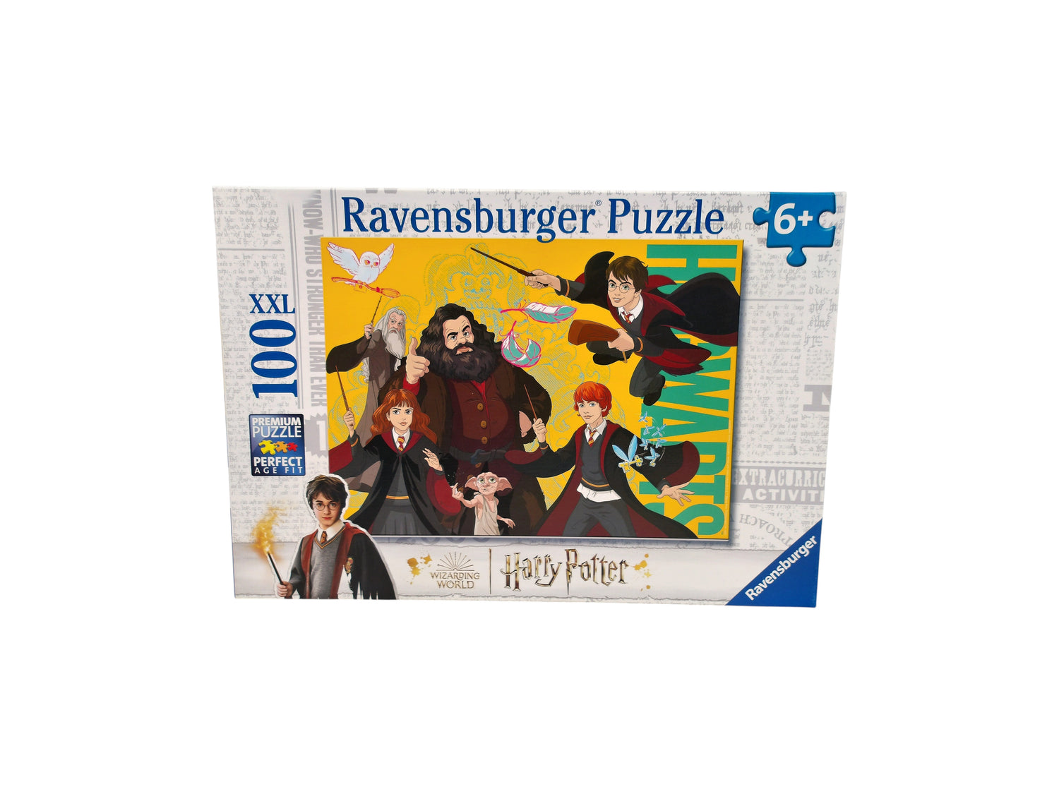Puzzle - Harry Potter et autres sorciers - 100 pièces