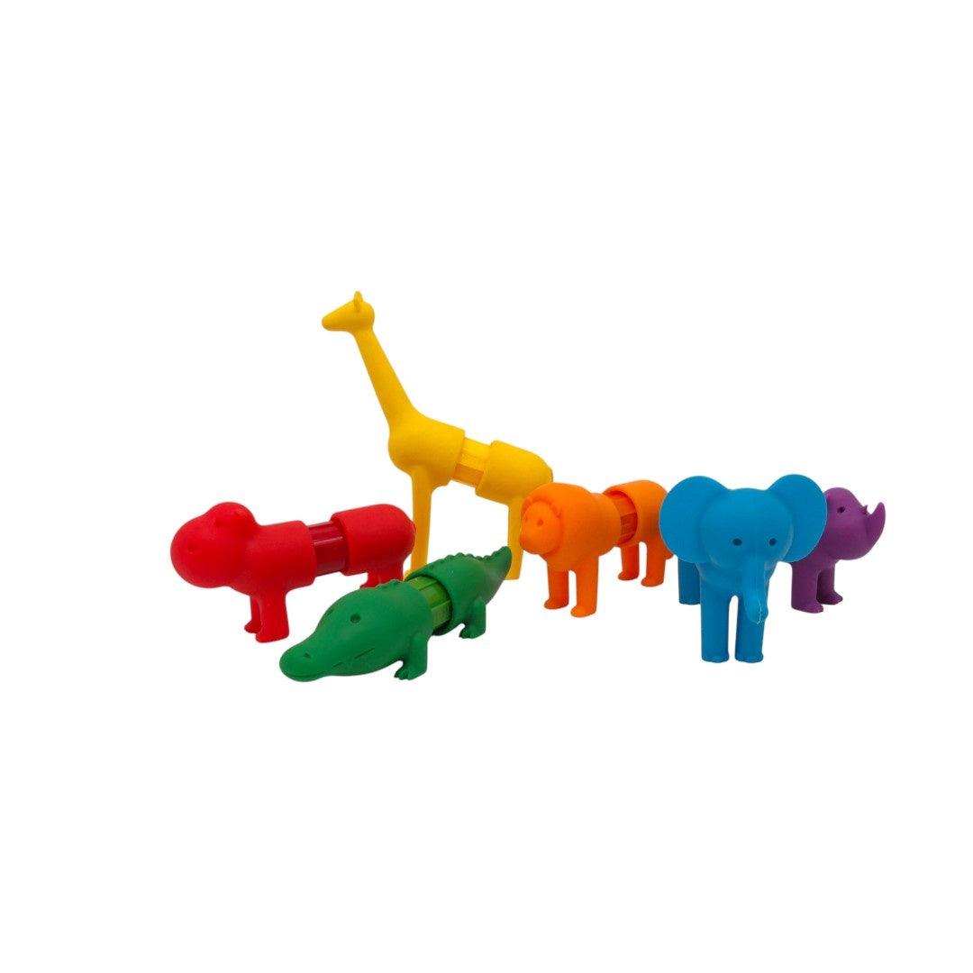 Animaux du safari magnétiques - x6