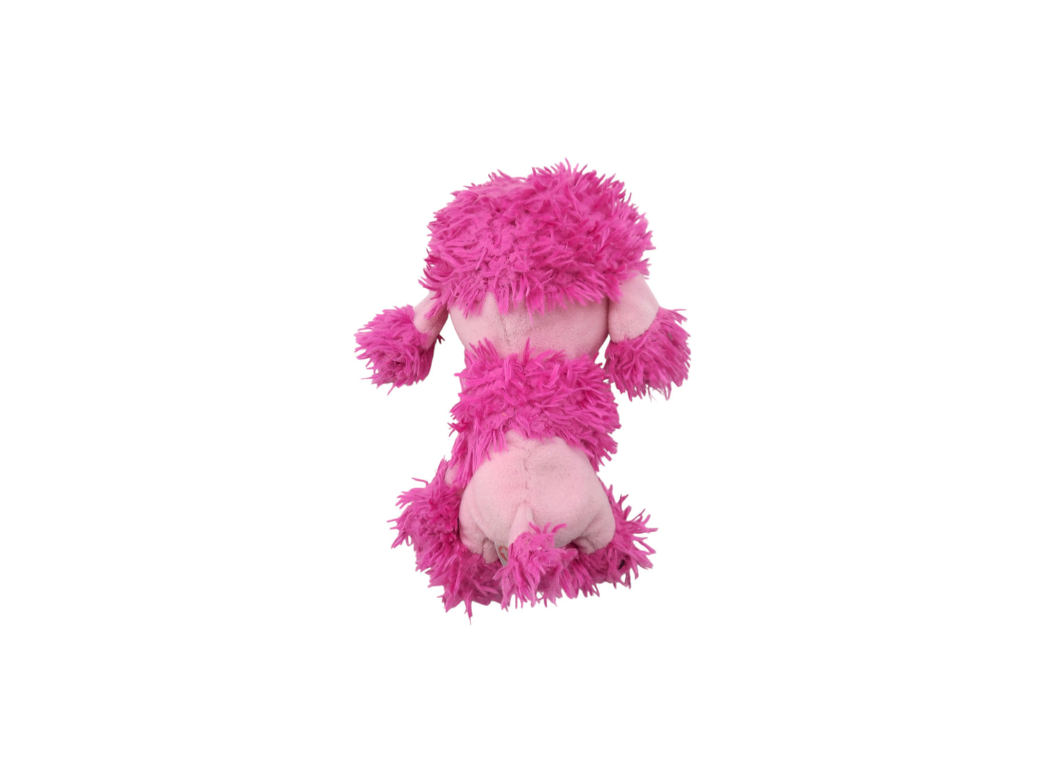 Doudou - Patsy le caniche