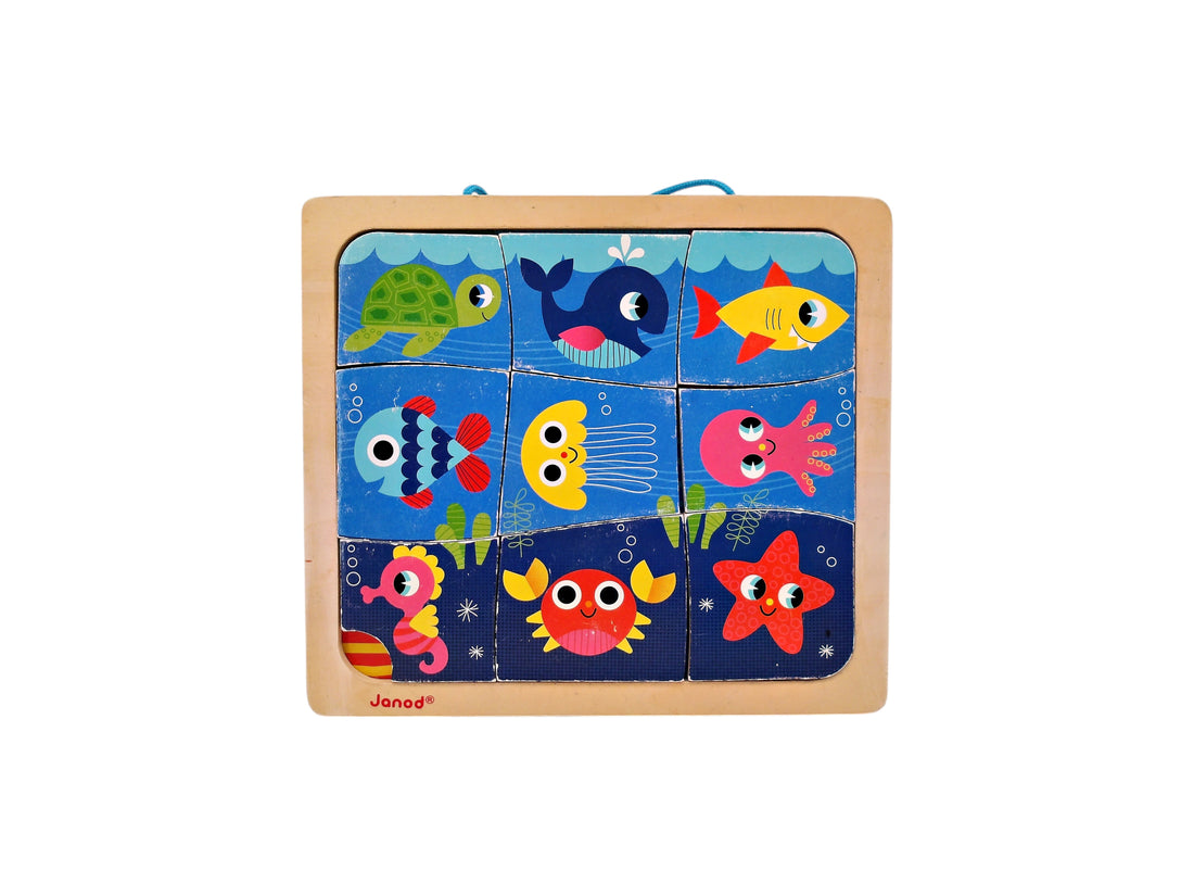 Magneto puzzle - Happy fish