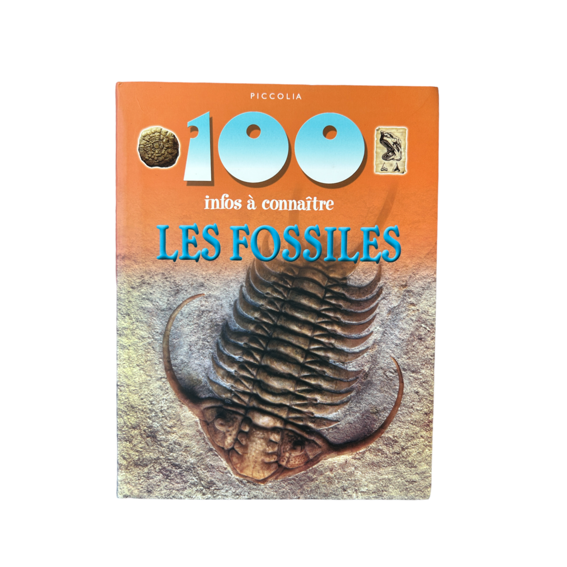 100 infos à connaître - Les fossiles