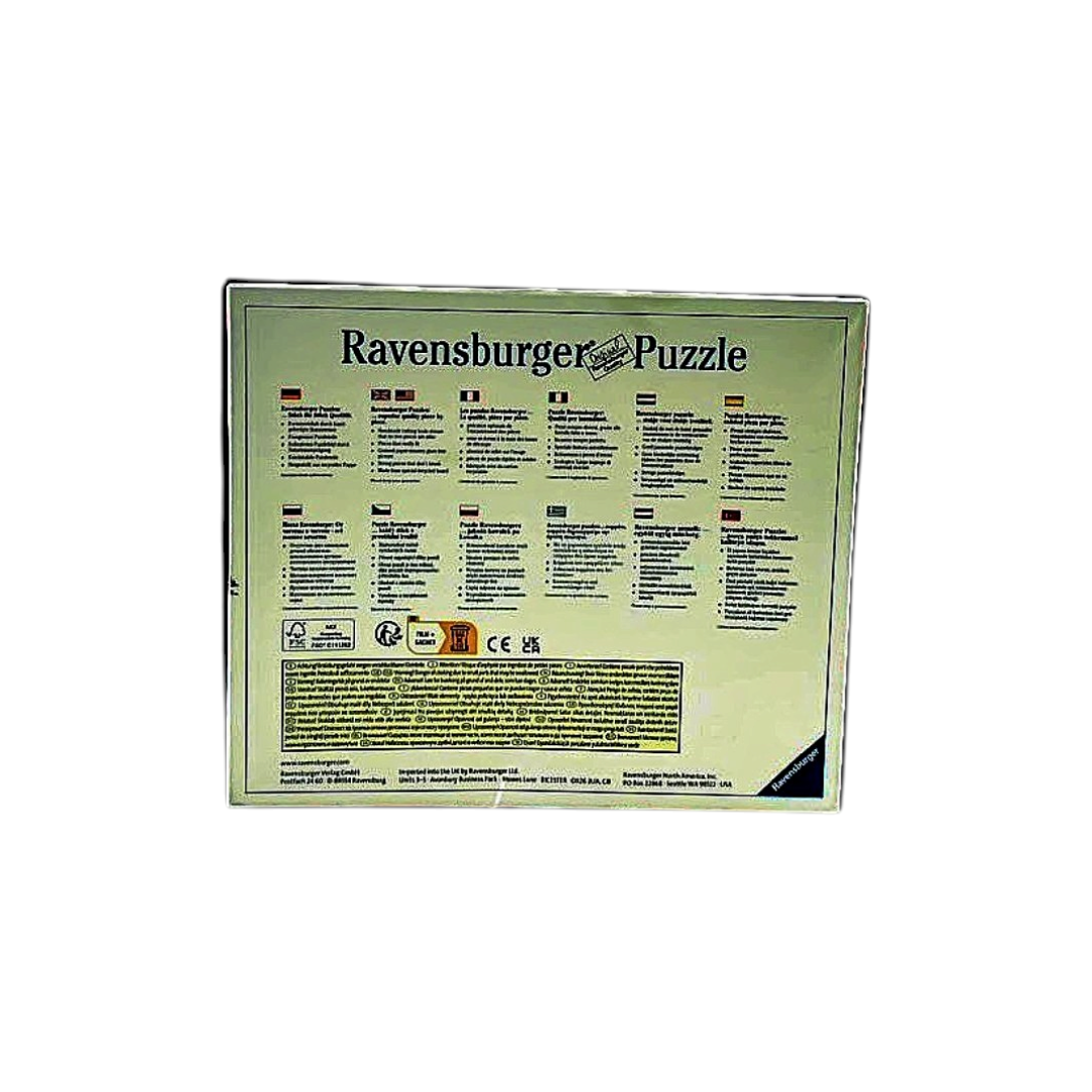 Puzzles progressifs - Disney Princesses - x4