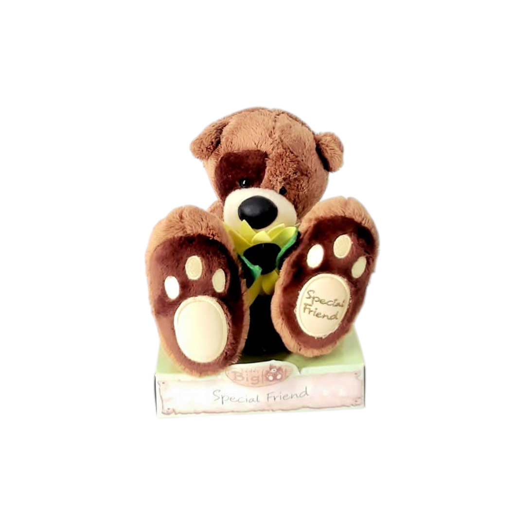 Teddy Bigfoot - Special Friend