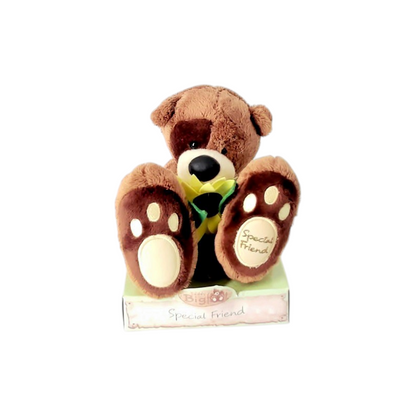 Teddy Bigfoot - Special Friend