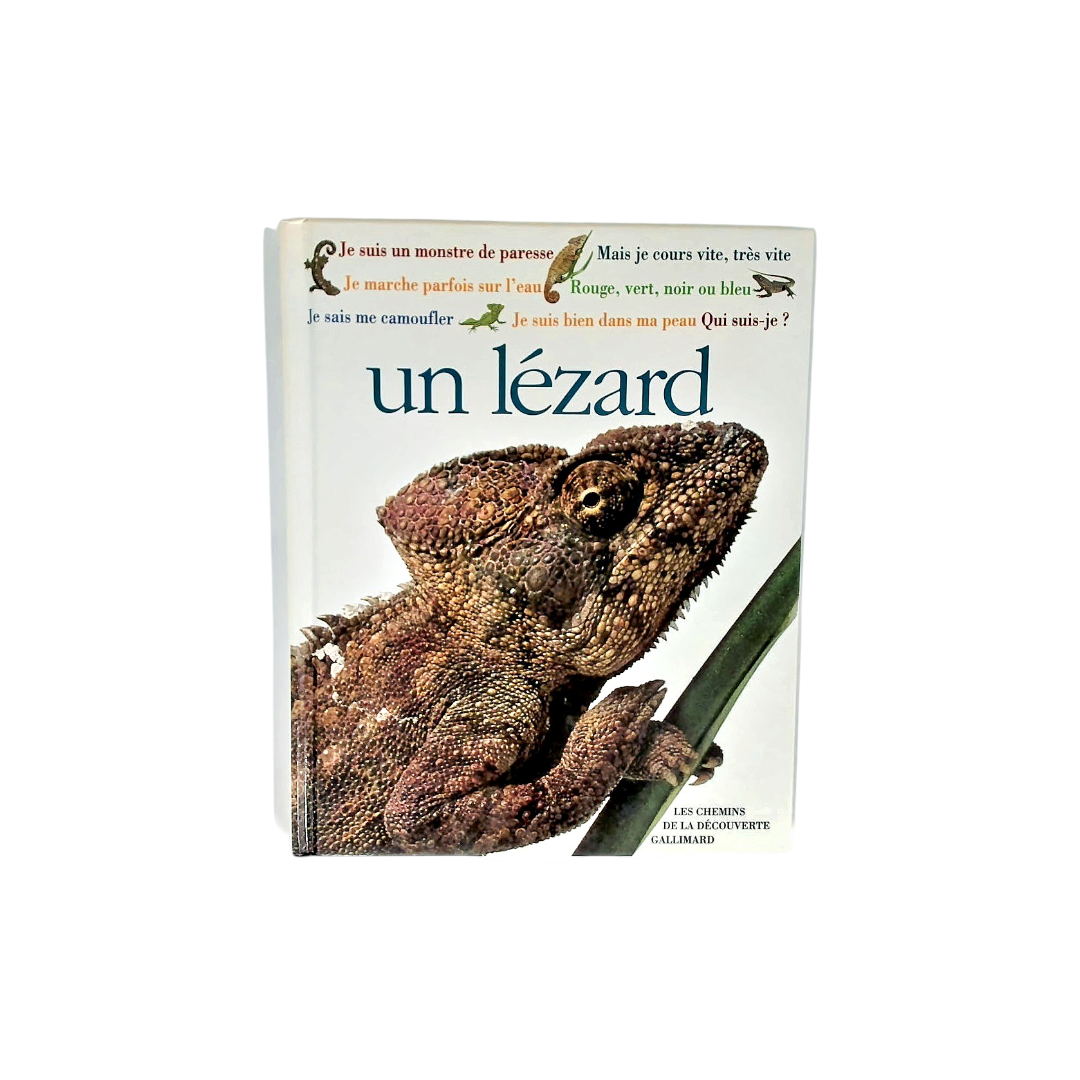 Les chemins de la découverte - Qui suis-je ? un lézard