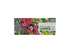 Puzzle gallery - Owls and birds - 1000 pièces