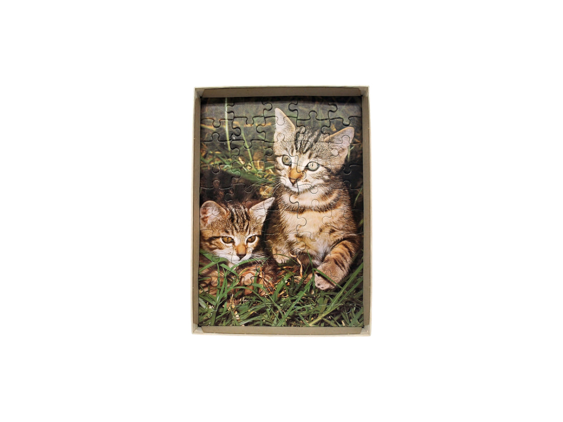 Puzzle - Chatons- 50 pièces