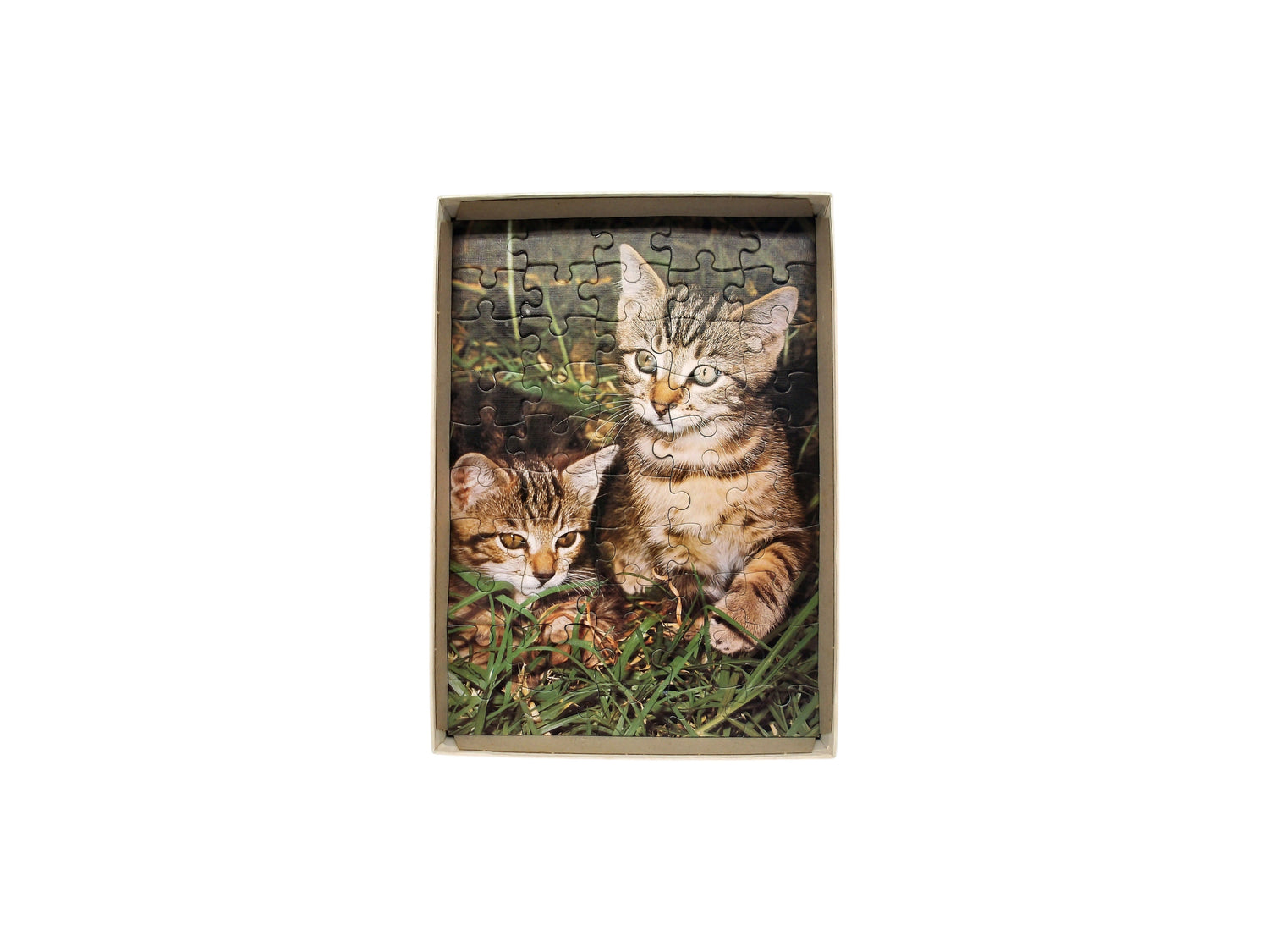 Puzzle - Chatons- 50 pièces