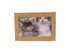 Puzzle - Chatons - 2x49 pièces