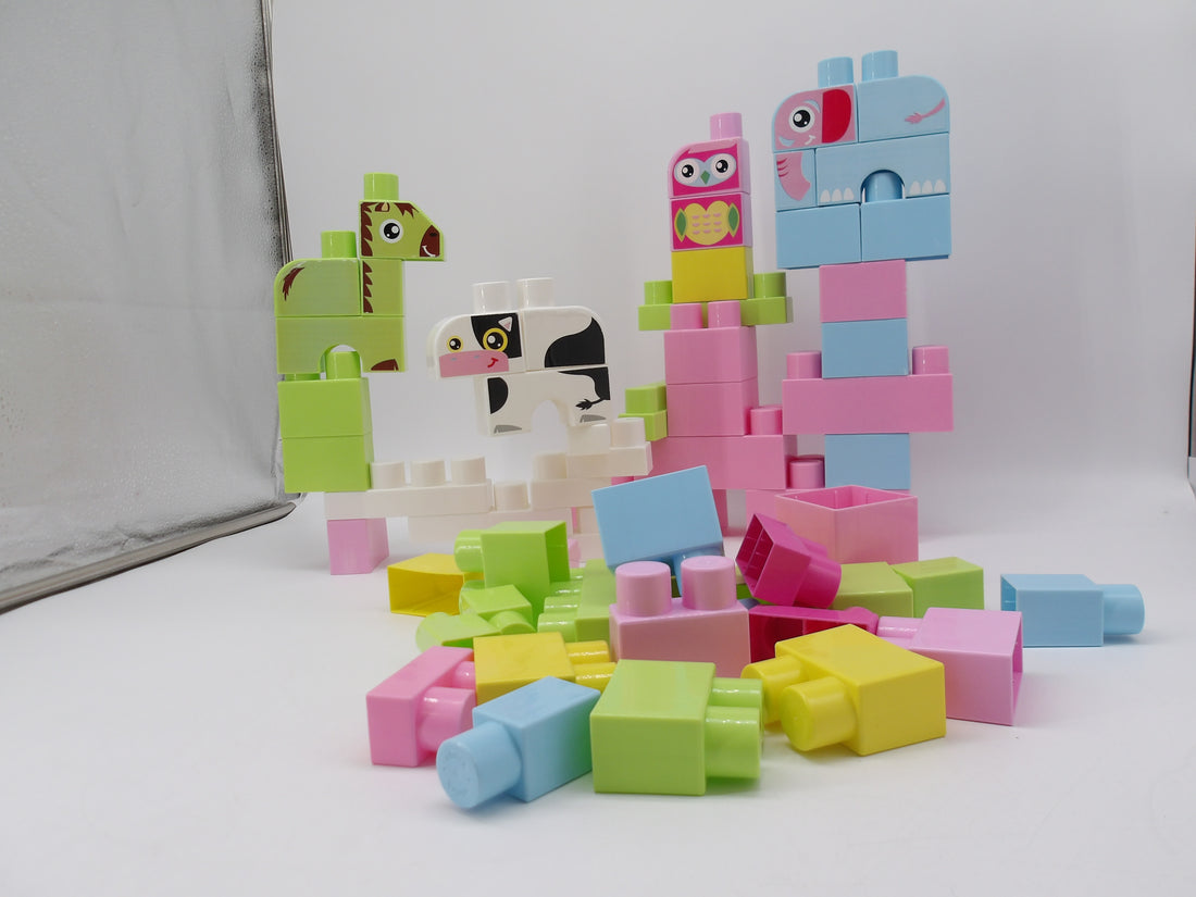 Chiot - Lady little - Live pets 