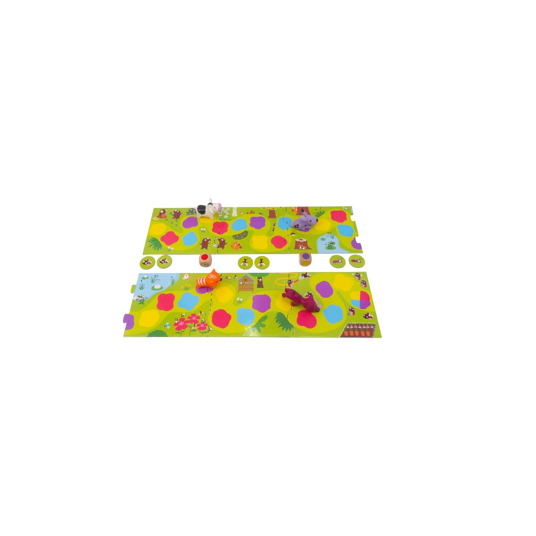 Little Circuit