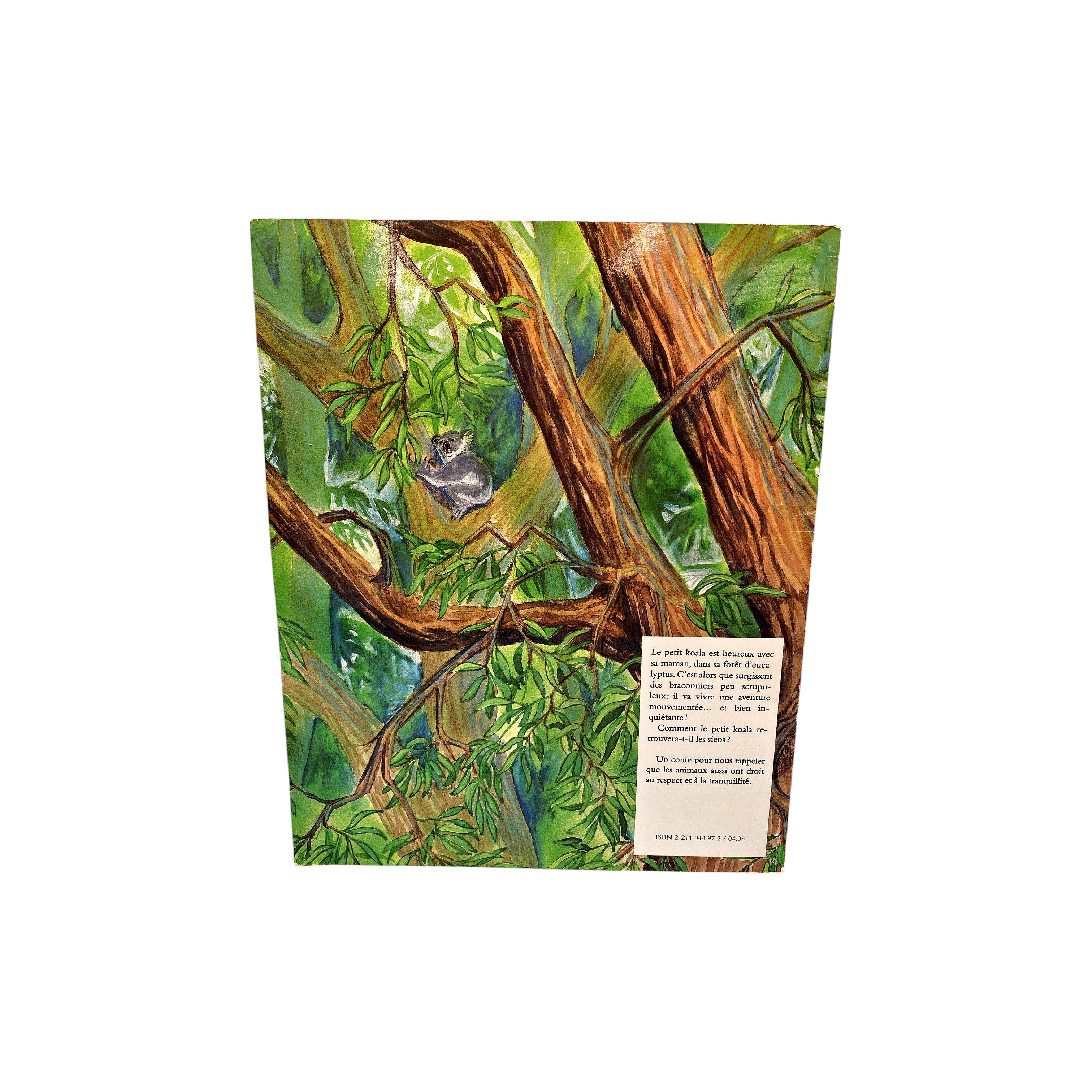 Petit koala parmi les hommes