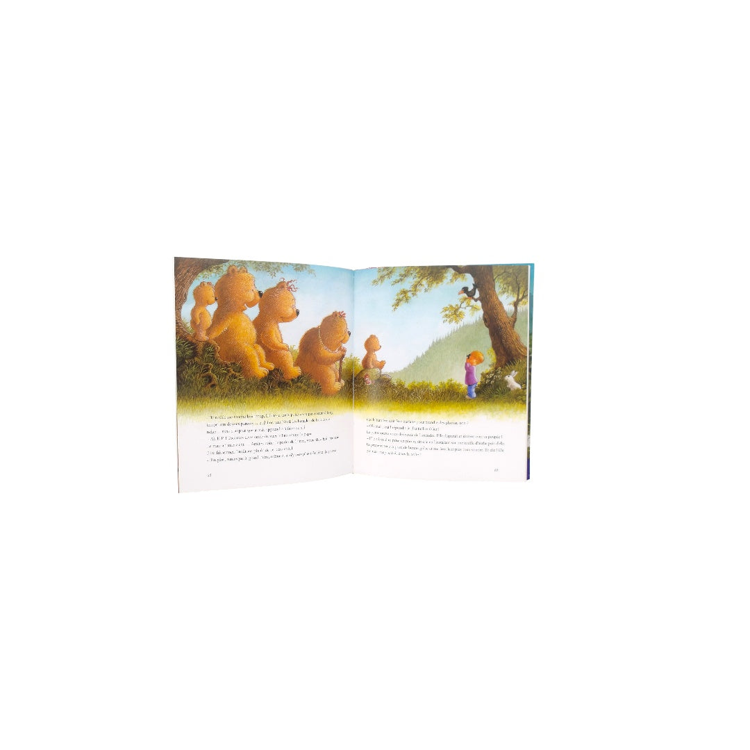 Le grand livre des ours 
