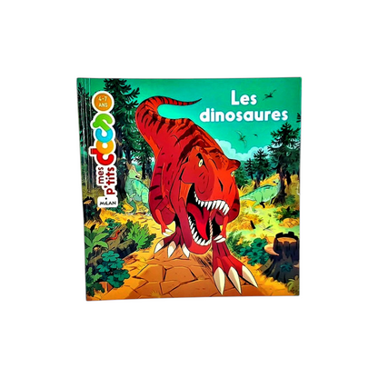 Mes P&