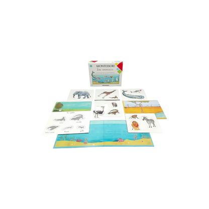 Montessori - Les animaux