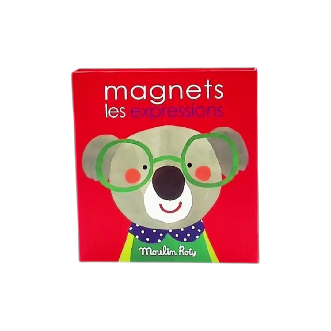 Jeu magnétique des expressions Les Popipop