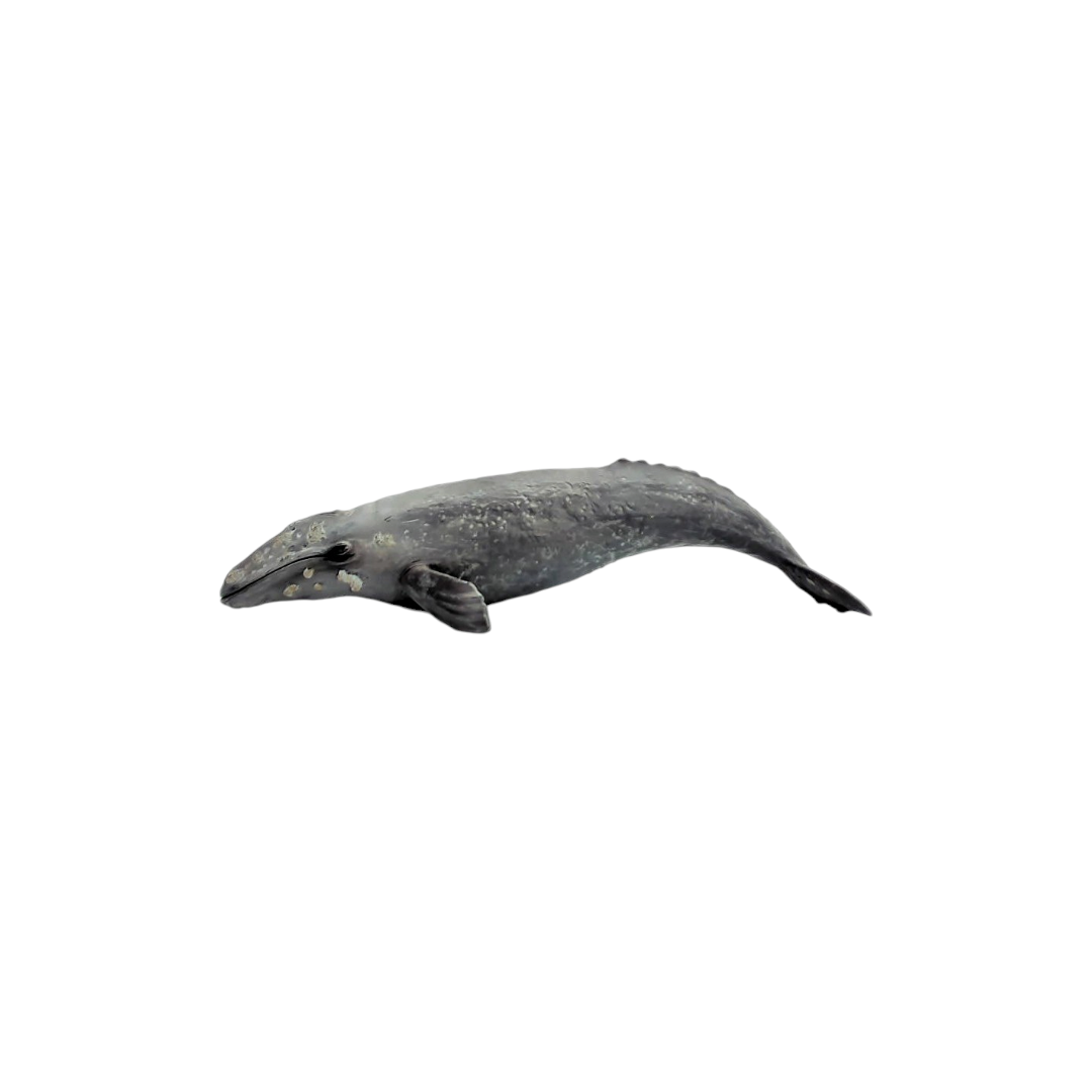 Figurine - Grande baleine grise