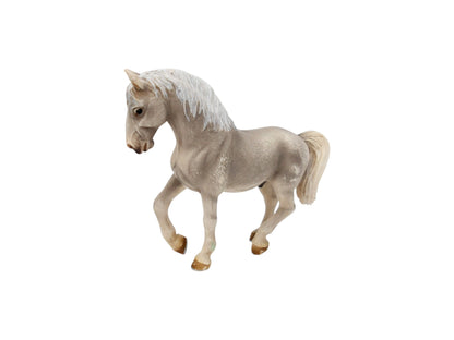 Cheval - Lipizzaner Stallion - 13293