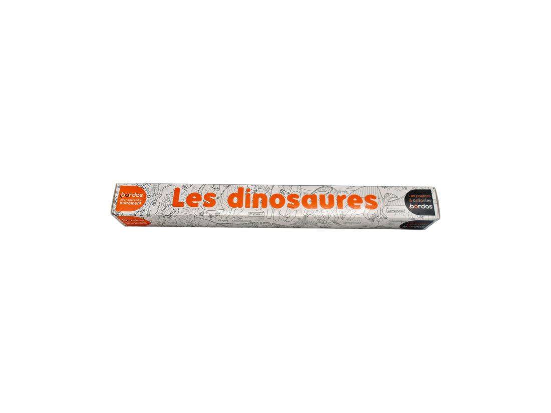 Les posters à colorier - Les dinosaures 