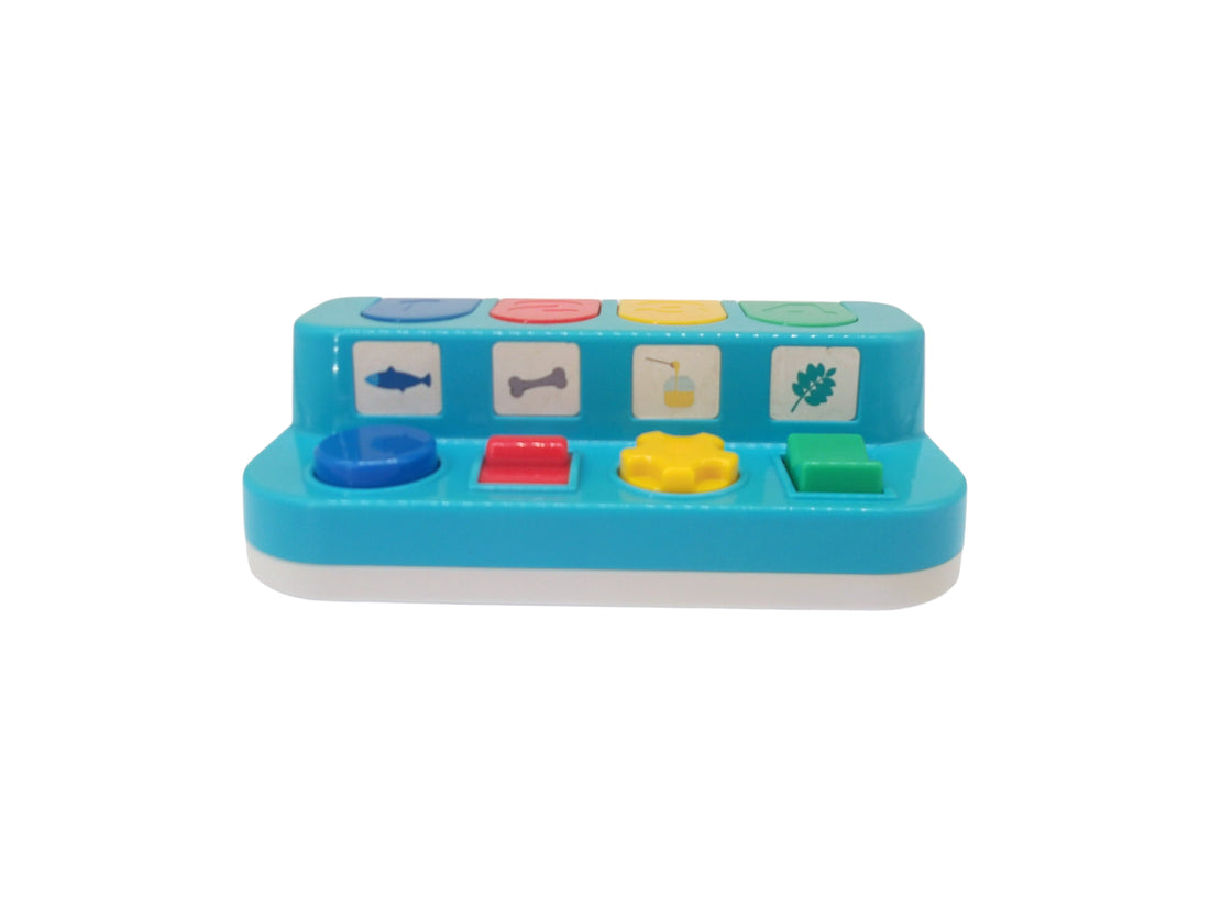 Cache-cache des animaux