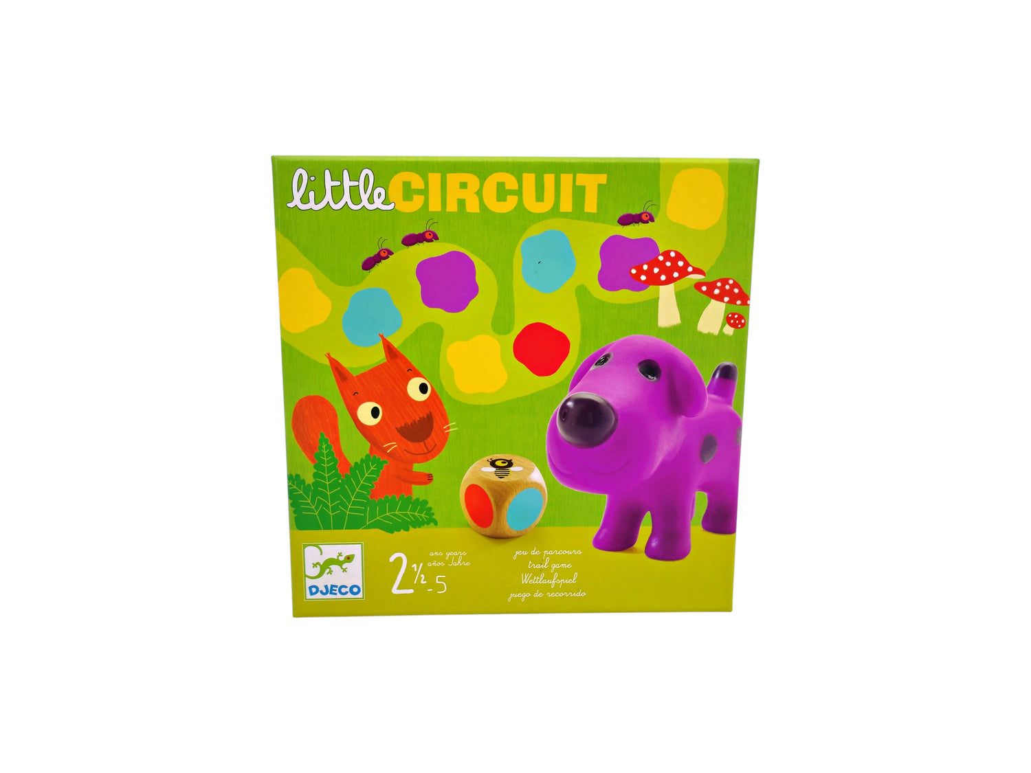Little Circuit