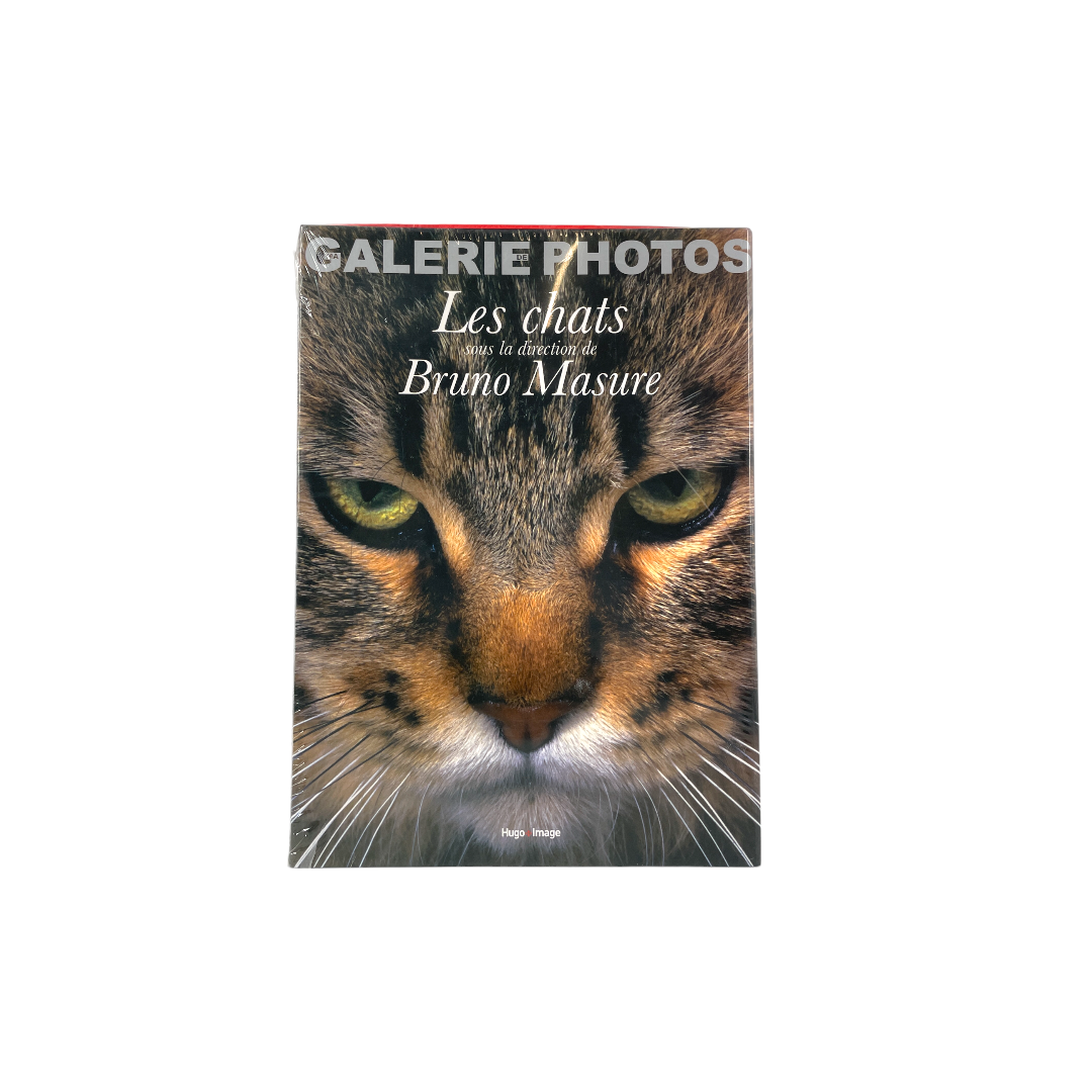 Galerie photos - Les chats