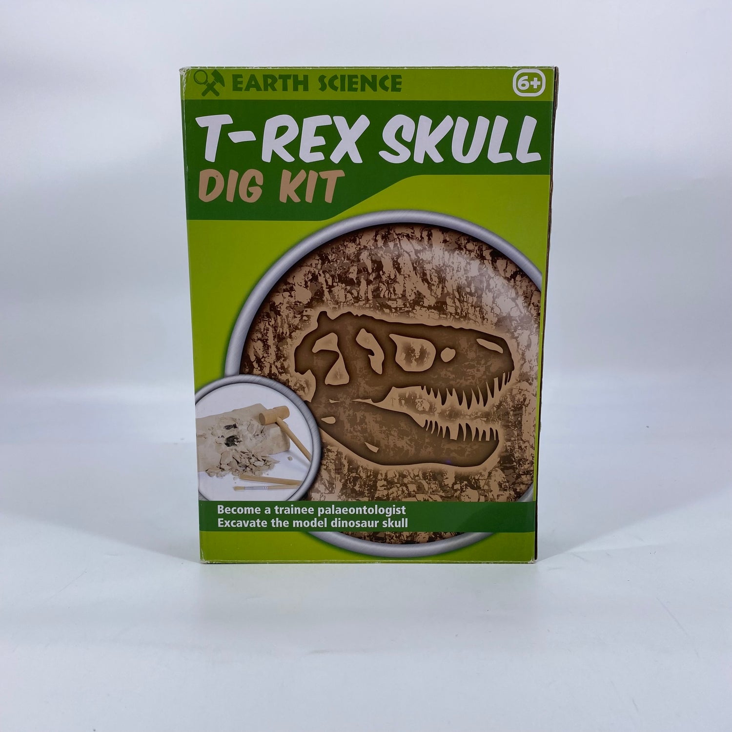 T-rex skull - Dig it