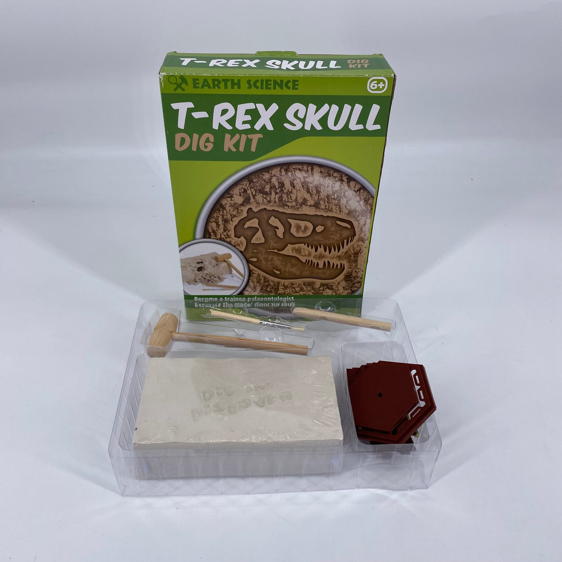 T-rex skull - Dig it